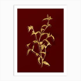 Vintage Commelina Africana Botanical in Gold on Red Art Print