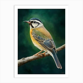 Tawny Tit Art Print