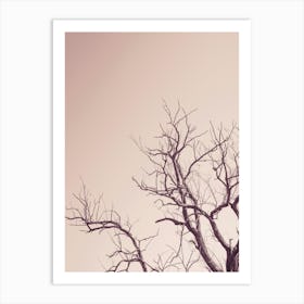 Pink Sky With A Tree Art Print