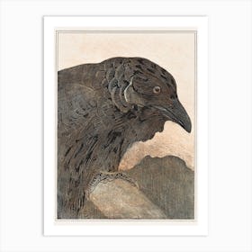 Crow (1878–1908), Theo Van Hoytema Art Print