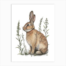 English Lop Blockprint Rabbit Illustration 1 Art Print