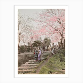 Vintage Japanese Photograph Cherry Blossom Art Print