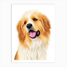 Pyrenean Shepherd Illustration Dog Art Print