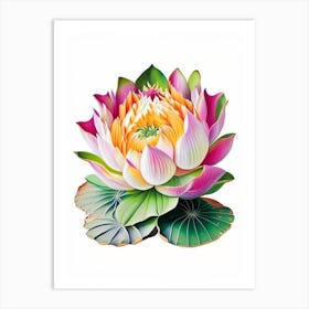 Amur Lotus Decoupage 1 Art Print