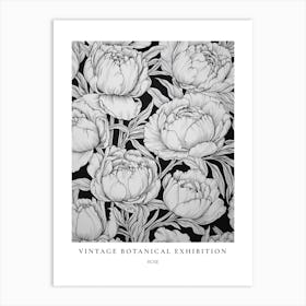 Rose B&W Vintage Botanical Poster Art Print