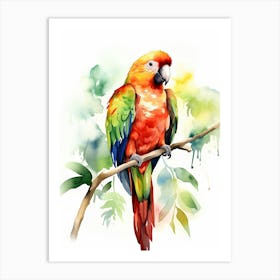 A Parrot Watercolour In Autumn Colours 0 Art Print