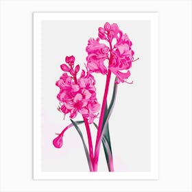 Hot Pink Hyacinth 2 Art Print