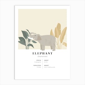 Elephant - Jungle Fact Art Print