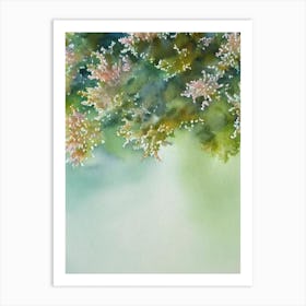 Acropora Tenella Ii Storybook Watercolour Art Print