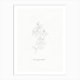 Honeysuckle Line Drawing Art Print