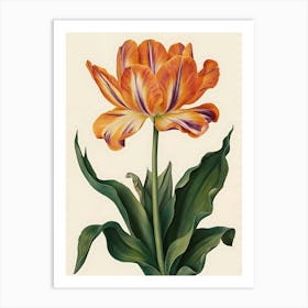 Orange Tulip Art Print