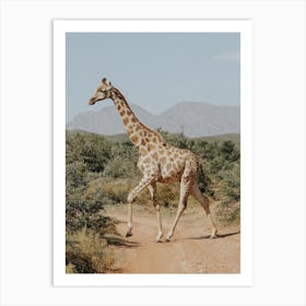 Giraffe In The Wild Art Print