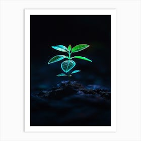 Small Green Plant In The Dark 3 Art Print