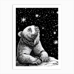 Malayan Sun Bear Looking At A Starry Sky Ink Illustration 4 Art Print
