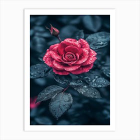 Red Rose With Raindrops Art Print