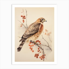 Vintage Bird Drawing Red Tailed Hawk 3 Art Print