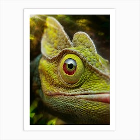 Chameleon Art Print