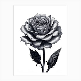 A Carnation In Black White Line Art Vertical Composition 8 Art Print