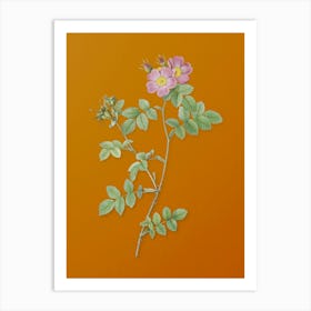 Vintage Pink Sweetbriar Roses Botanical on Sunset Orange n.0596 Art Print