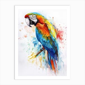 Macaw Colourful Watercolour 3 Art Print