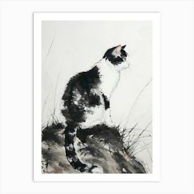 Cat On A Rock Art Print