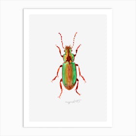 Harpalus distinguendus, Carabidae ground beetle, watercolor artwork Art Print