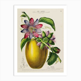 Passion Fruit 3 Art Print