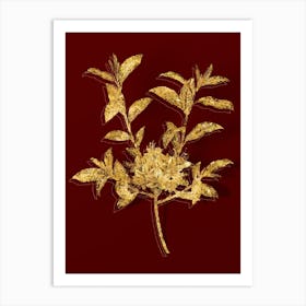 Vintage Azalea Botanical in Gold on Red n.0277 Art Print