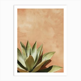 Agave Plant On A Wall Art Print