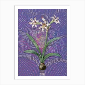 Vintage Amaryllis Botanical Illustration on Veri Peri n.0926 Art Print