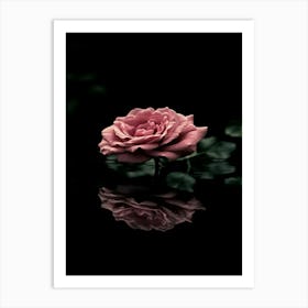 Rose In Water Art Print