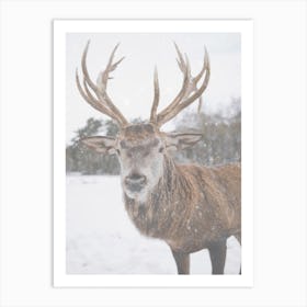 Winter Elk Art Print