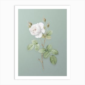 Vintage White Misty Rose Botanical Art on Mint Green n.0028 Art Print