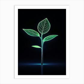 Green Leaf Growing On Black Background Art Print