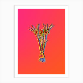 Neon Cloth of Gold Crocus Botanical in Hot Pink and Electric Blue n.0429 Art Print
