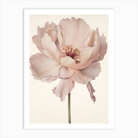 Floral Illustration Tulip 3 Art Print