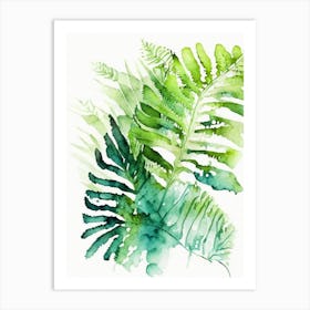 Marsh Fern Watercolour Art Print