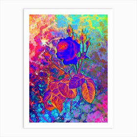 Cabbage Rose Botanical in Acid Neon Pink Green and Blue n.0271 Art Print