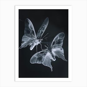 Two Moths 1 Art Print