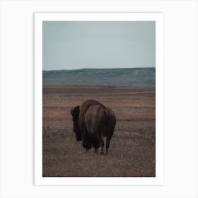 South Dakota Bison Art Print