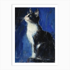 Black And White Cat 2 Art Print