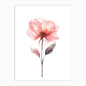 Watercolor Rose 2 Art Print