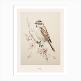 Vintage Bird Drawing Lark 1 Poster Art Print