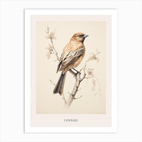 Vintage Bird Drawing Cowbird 1 Poster Art Print
