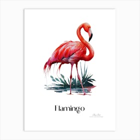 Flamingo. Long, thin legs. Pink or bright red color. Black feathers on the tips of its wings.15 Art Print