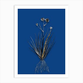 Vintage Blue CornLily Black and White Gold Leaf Floral Art on Midnight Blue n.0005 Art Print