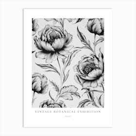 Peony 2 B&W Vintage Botanical Poster Art Print