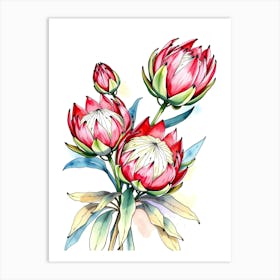 Watercolor Proteas Flower Art Print