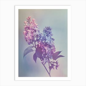 Iridescent Flower Lilac 2 Art Print
