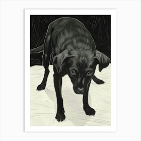 Black Labrador Art Print